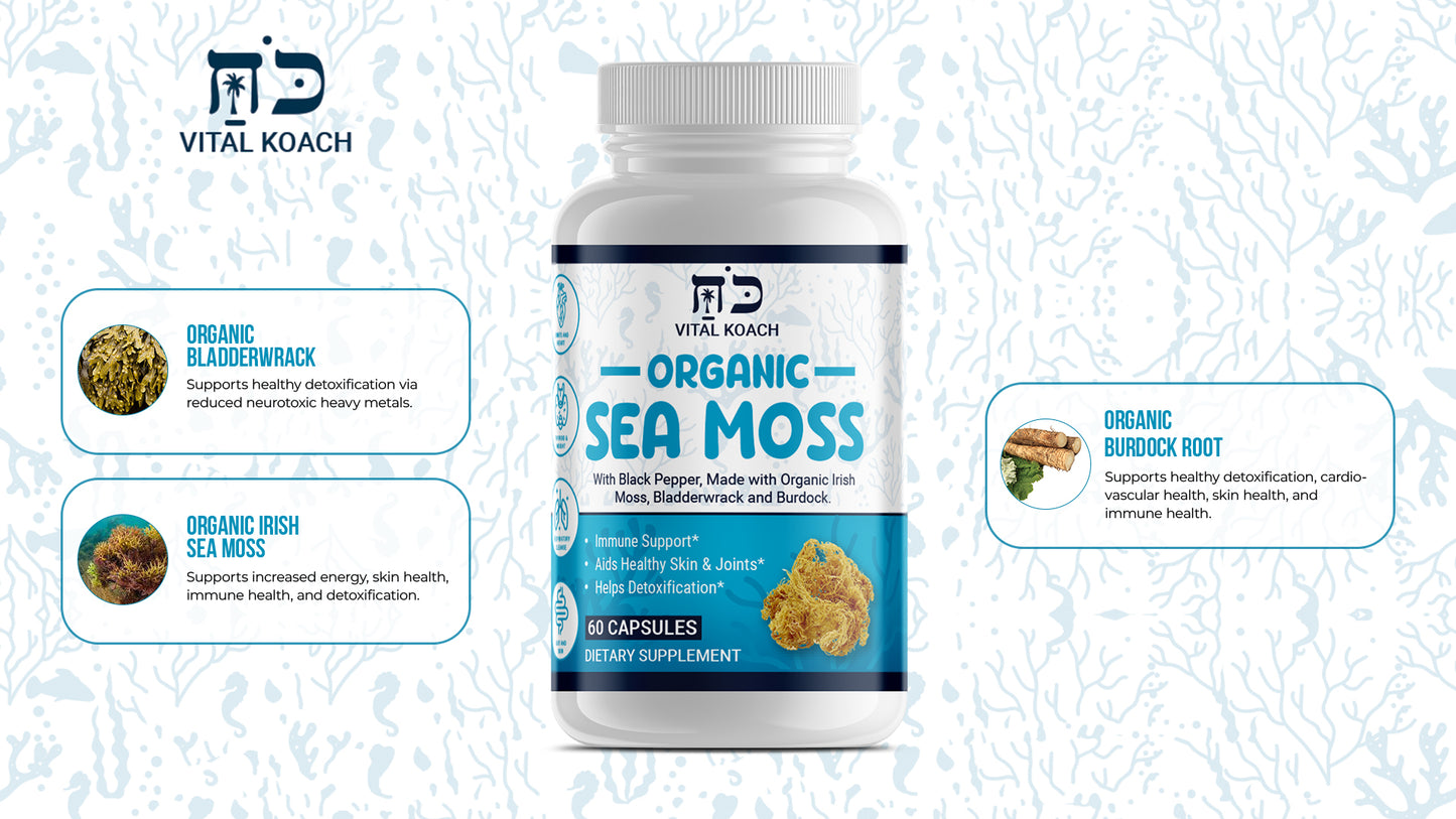 ORGANIC SEA MOSS